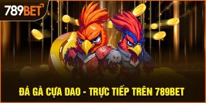 đá gà cựa dao