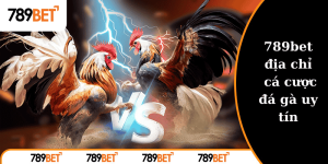 địa chỉ cá cược đá gà uy tín