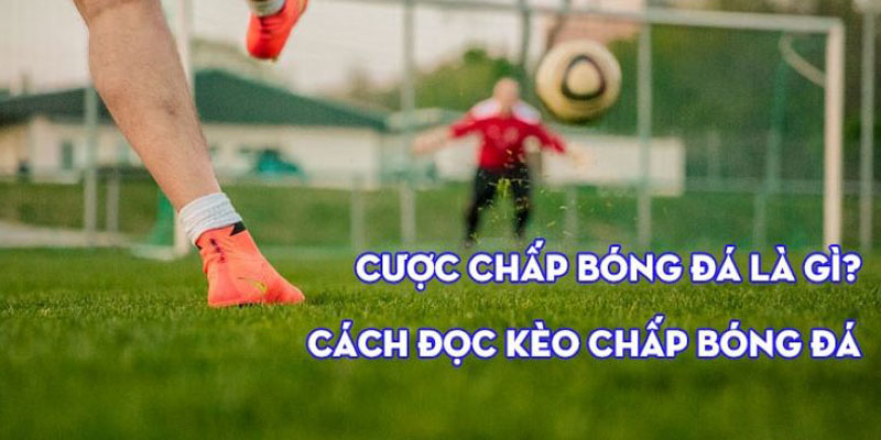 Cách dự đoán cược chấp đơn giản cho thành viên mới